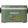 Igloo ECOCOOL Latitude 52 Qt Cooler -UK Outdoor Equipment Sales 2024 265502930