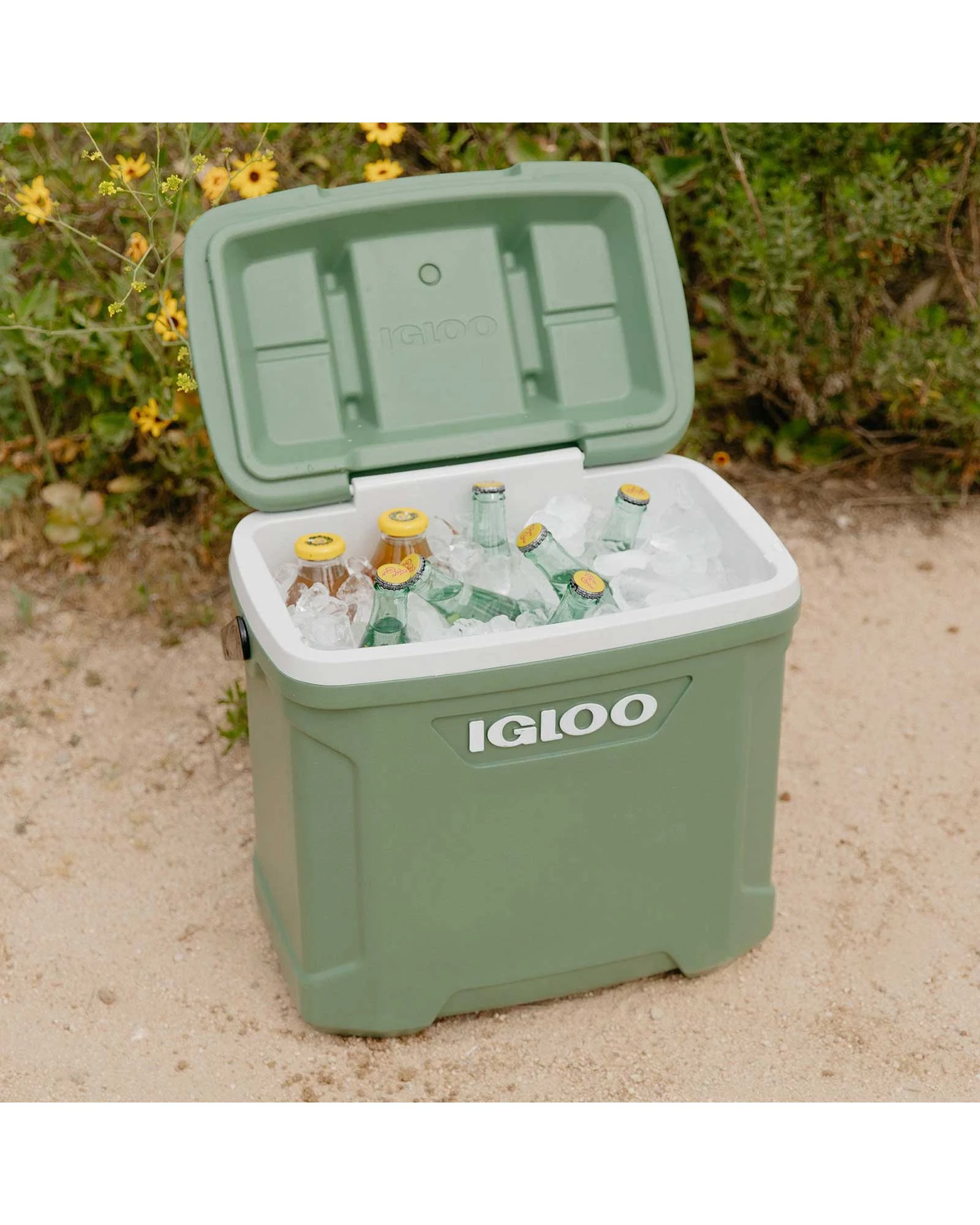 Igloo ECOCOOL Latitude 30 Qt Cooler 8 Igloo ECOCOOL Latitude 30 Qt Cooler - Image 6