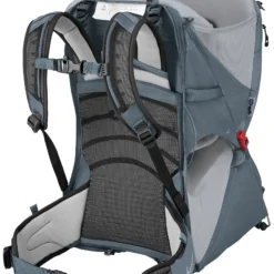 Osprey Poco LT Backpack